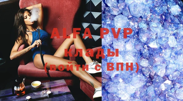 apvp Богданович